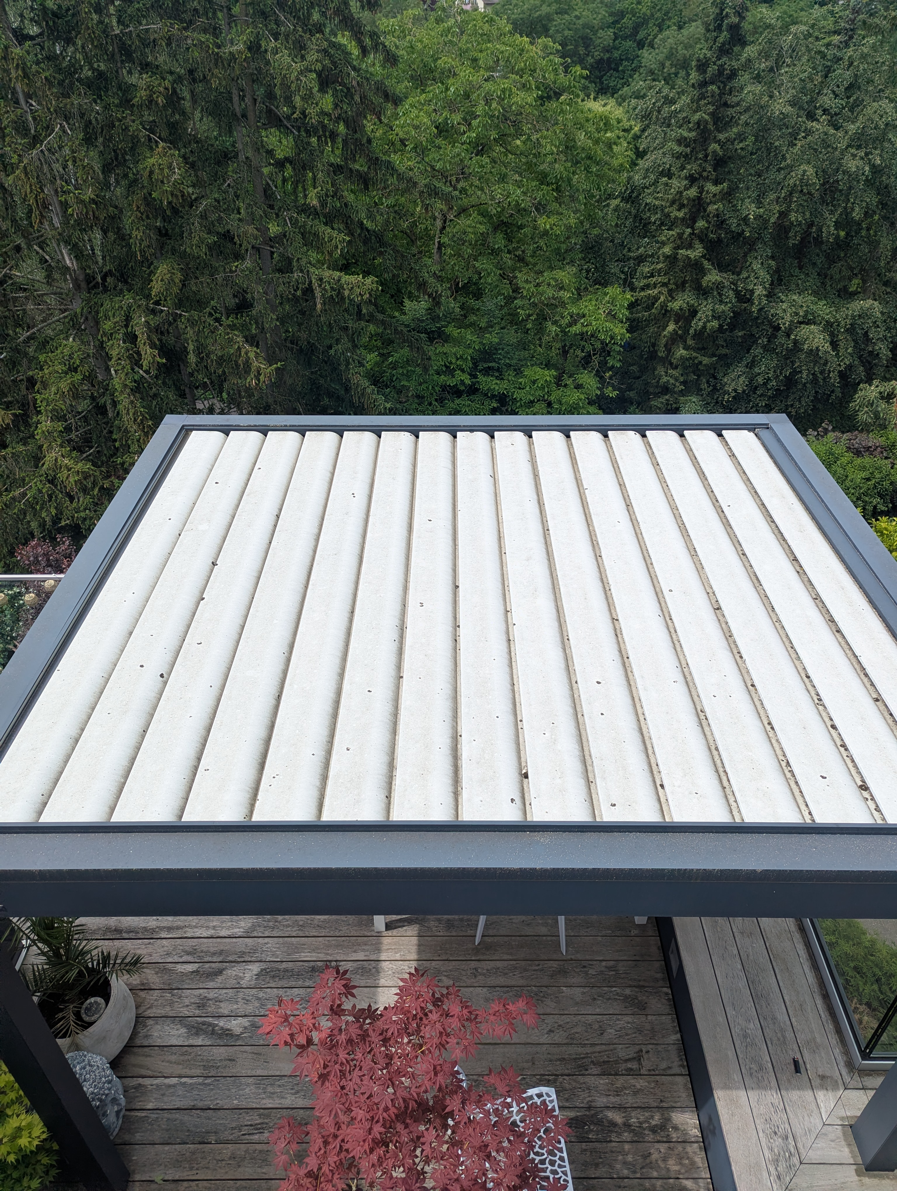 Pergola-Dach vor der Reinigung — Schmutz und Ablagerungen